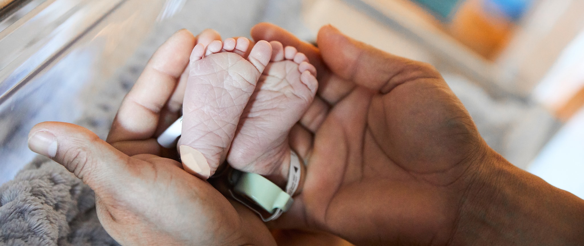 Newborn baby feet cradled in an adult's hands