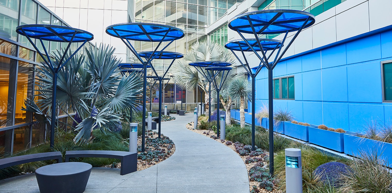 Azul Healing Garden