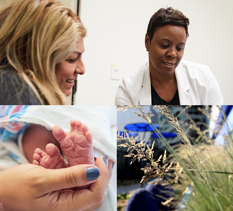 Collage featuring a pregnant Latina woman with a doctor, expectant parents, and newborn baby feet
