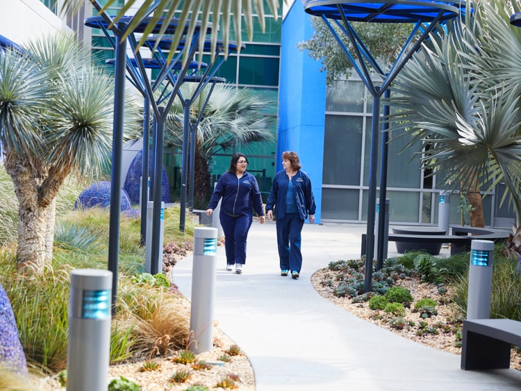 Two nurses wearing blue scrubs walking through the Healing Garden