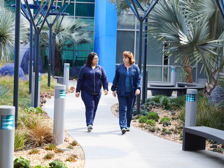 Two nurses in blue scrubs walk down the pathway of the healing garden