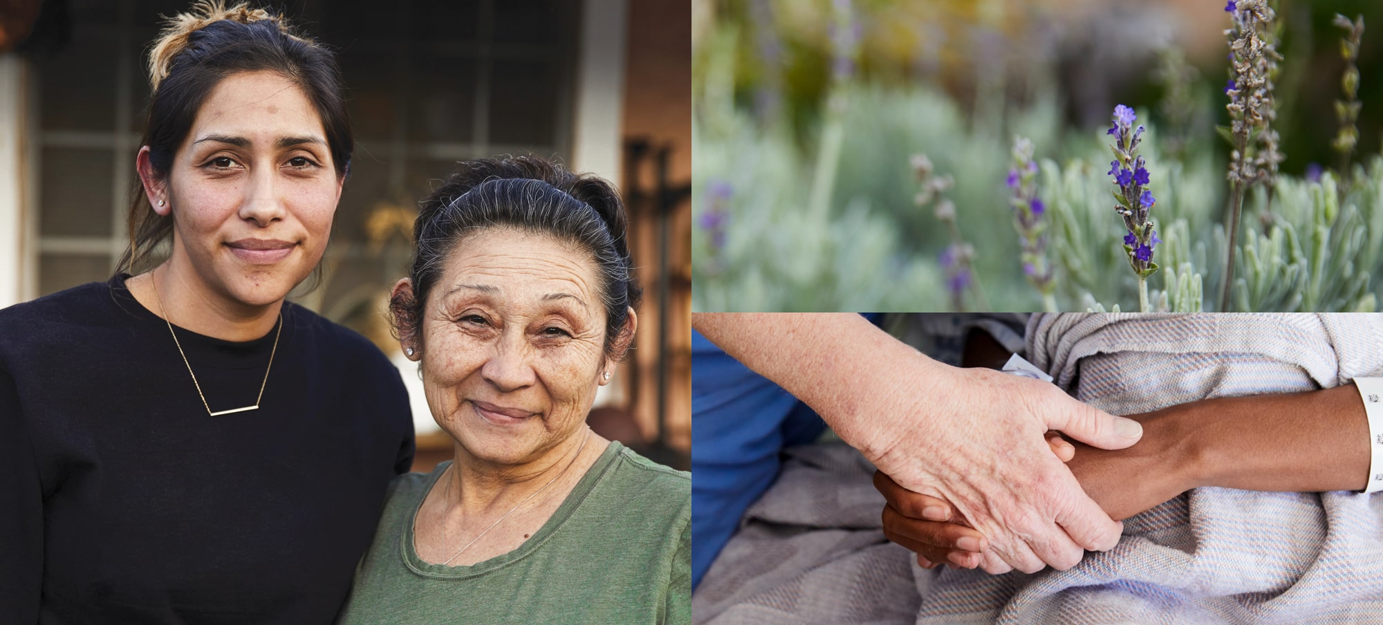 Collage of young Latina woman standing next to her mother, close up of lavender plants, close up of a white hand holding a Black hand