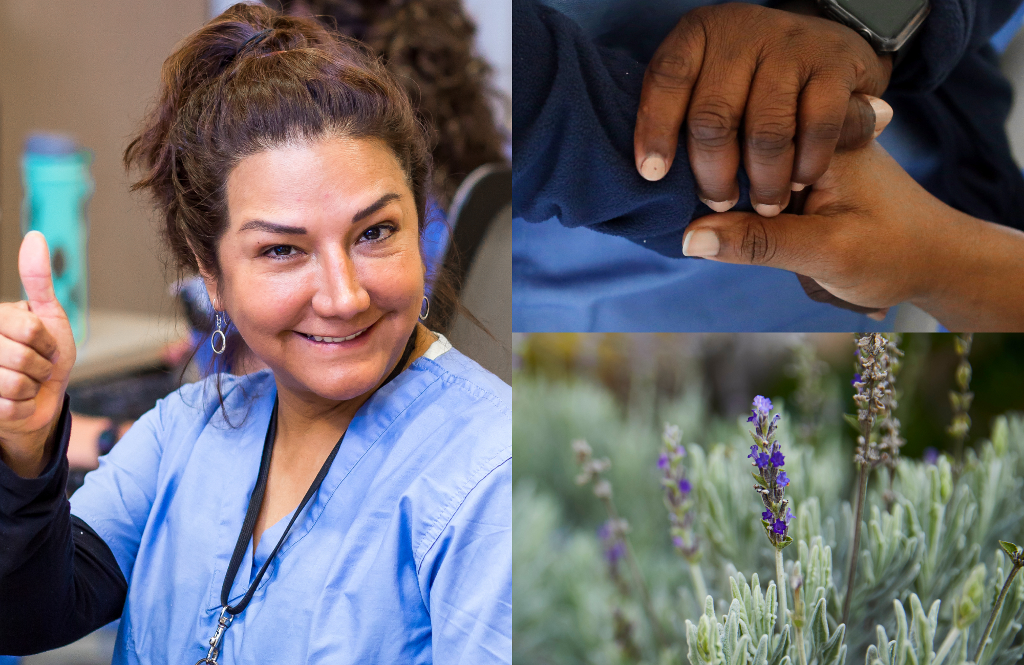 Collage of female in scrubs giving thumbs up, close up of hands holding and closeup of lavender
