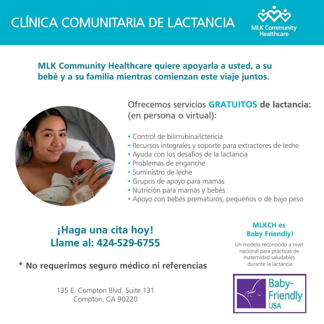 Foto de un folleto digital en español sobre la lactancia