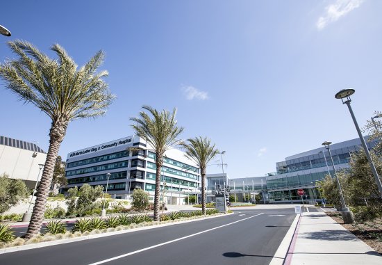 Palm trees lining the entrance to MLKCH hospital 