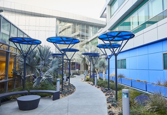 Blue walls and blue sunshades of MLKCH hospital's healing garden