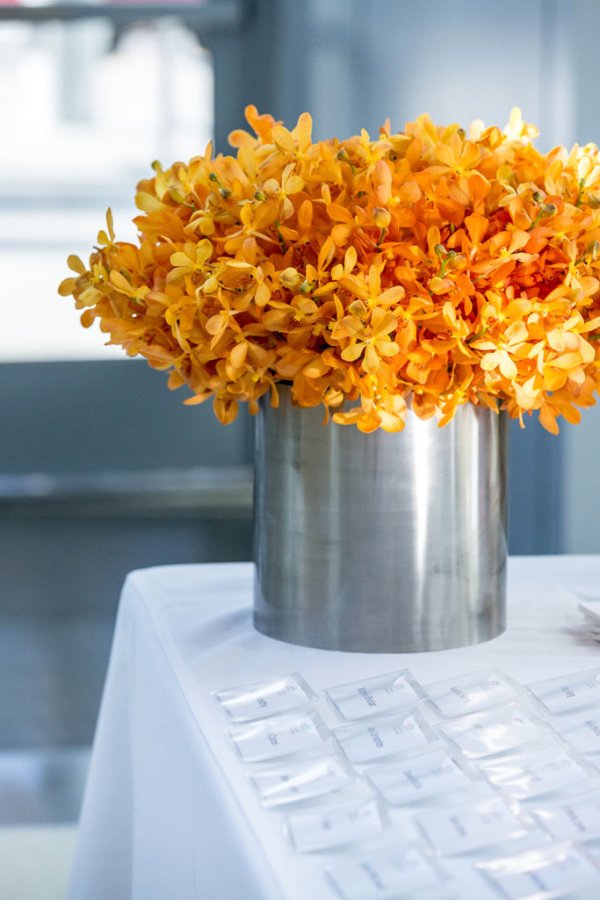 Hospital Preview Reception | © Maya Myers Photography