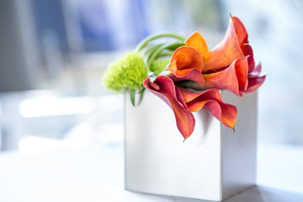 Hospital Preview Reception | © Maya Myers Photography