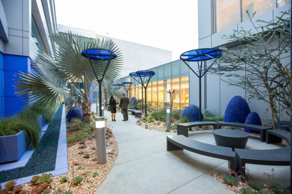Donor Wall Dedication | © Maya Myers Photography