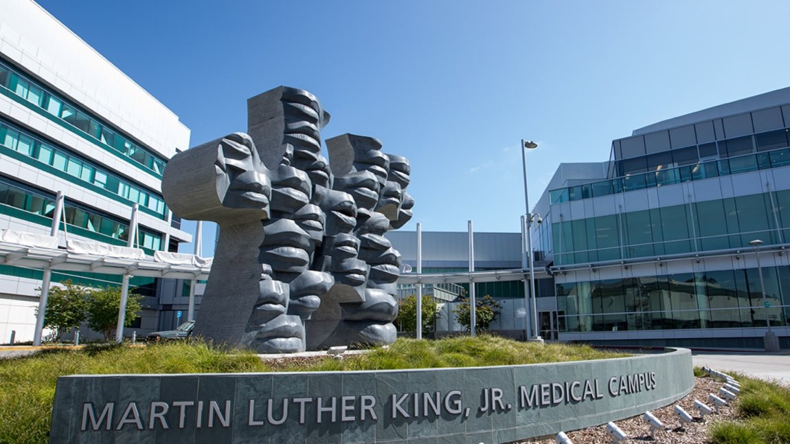 Puzzle piece sculpture in front of MLKCH hospital entrance