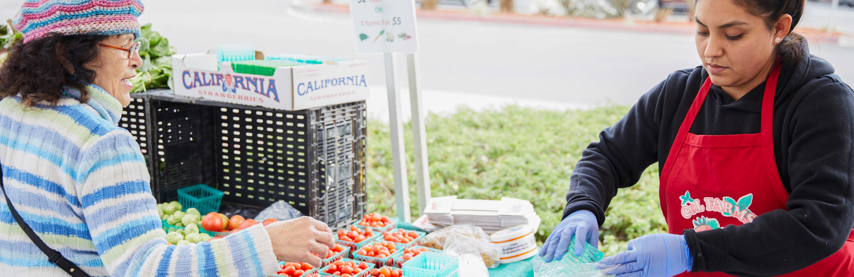 Young Latina woman helping older Latina woman with produce at farmers market