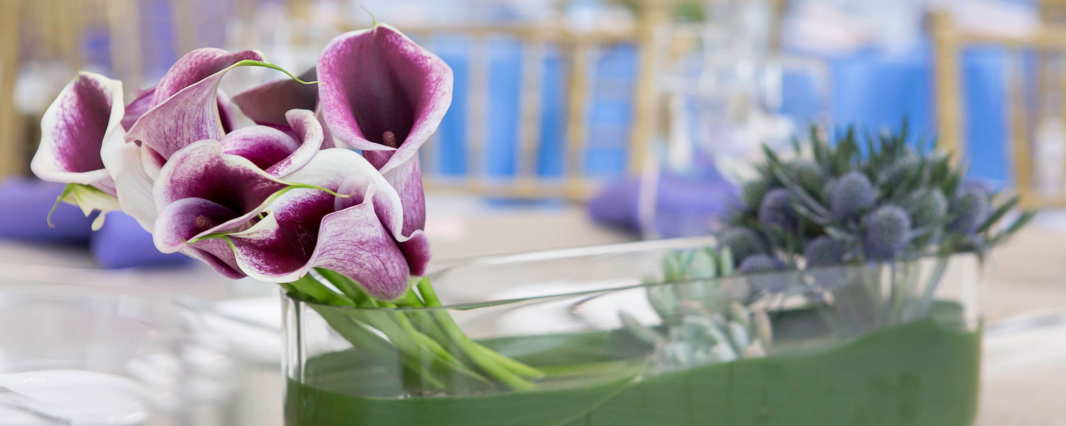 Close up of purple cala lily flower arrangement