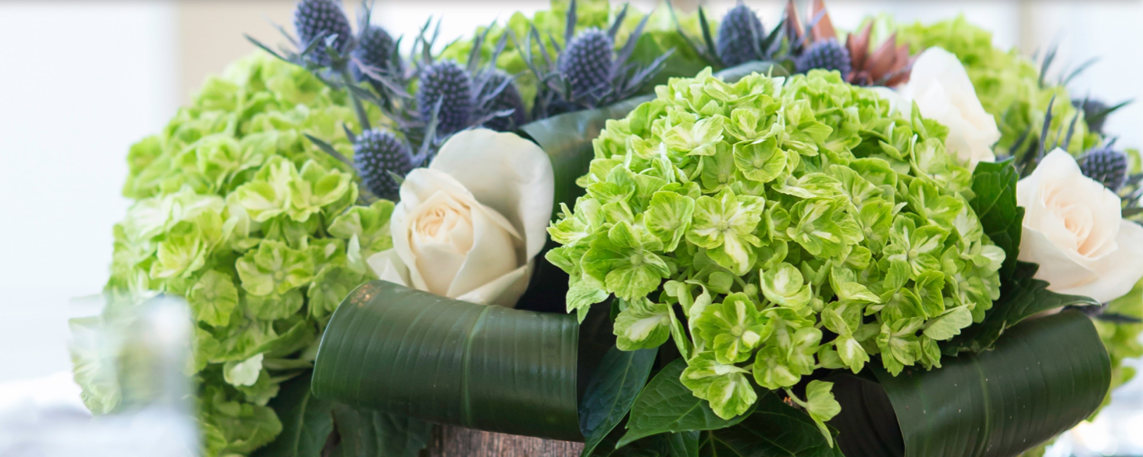 Close up of green flowers in a floral arrangement