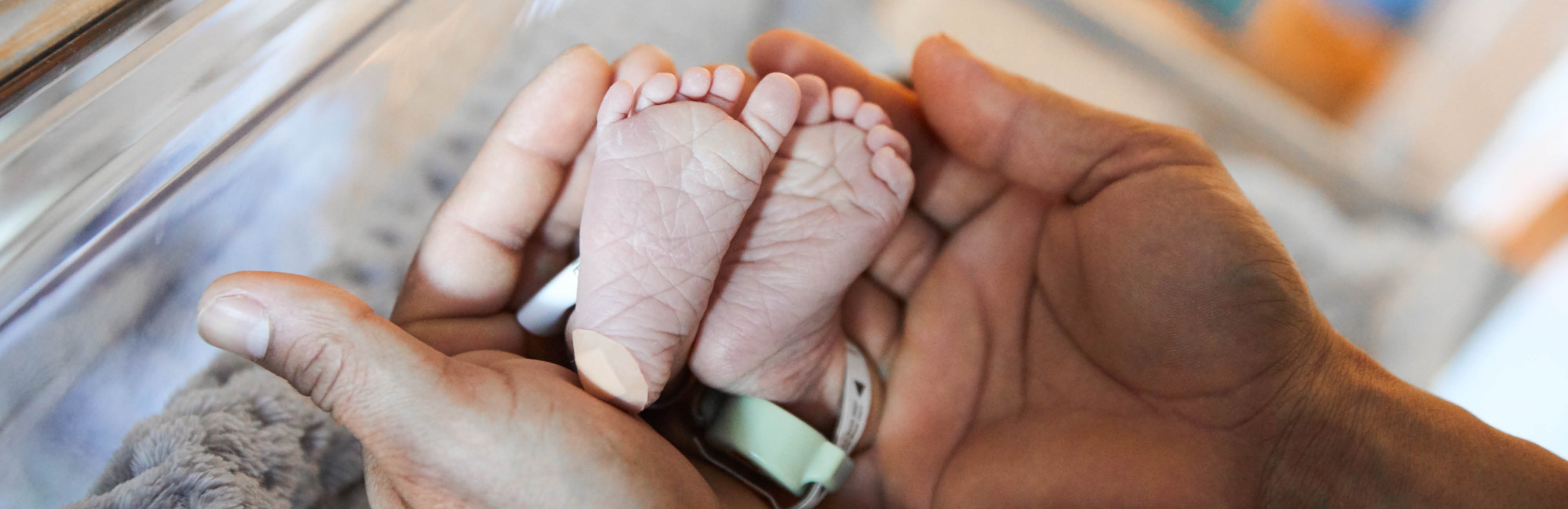 hands holding baby feet
