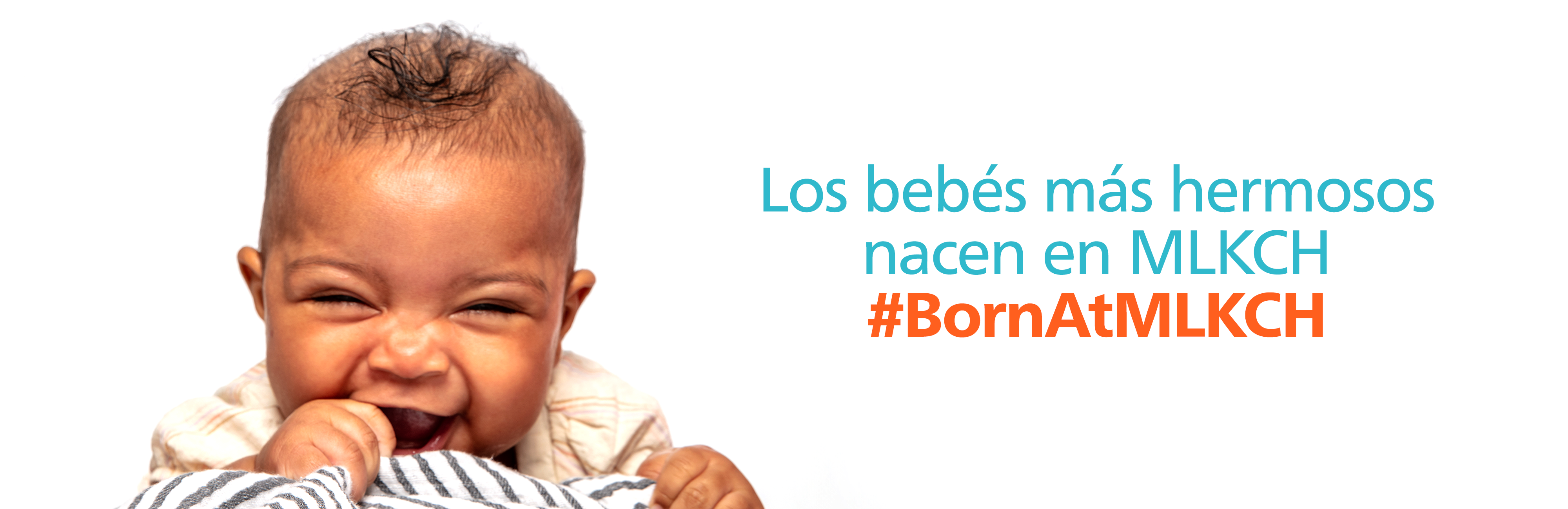 mlkch_website_herobanner_4000x1300_spanish_3_1.png