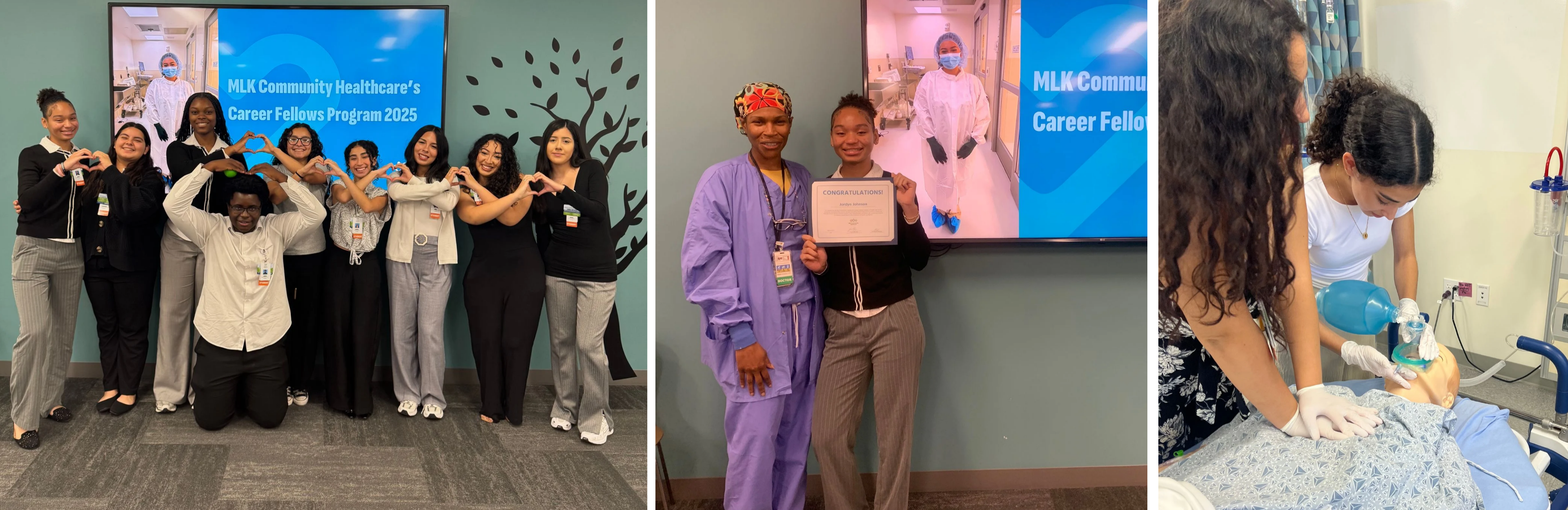 1-2025-career-fellows.