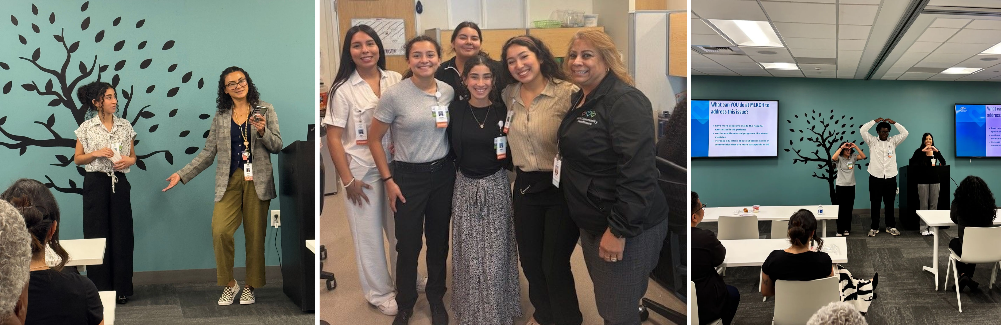 2-2025-career-fellows-