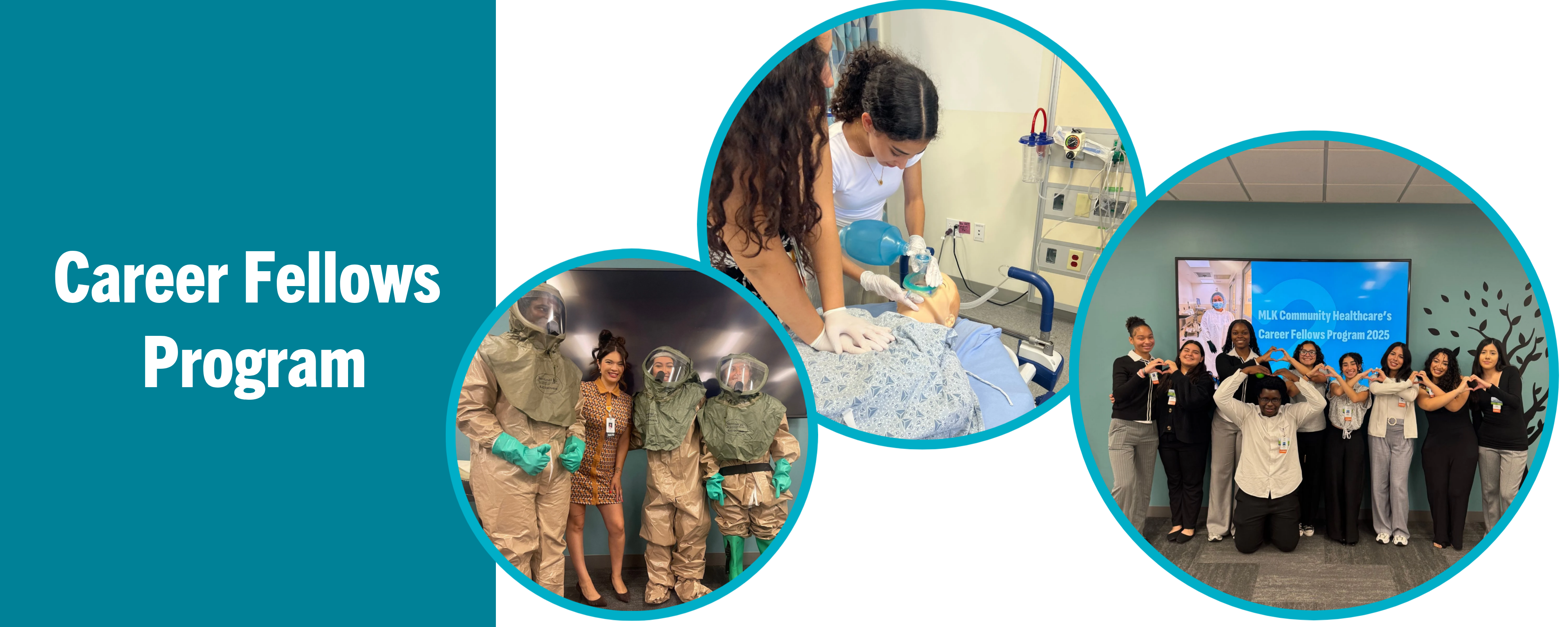 career-fellows-program-banner