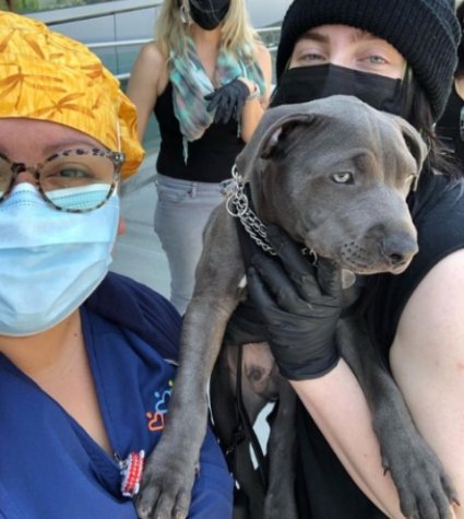 Foto de Billie Eilish, enfermera y perro