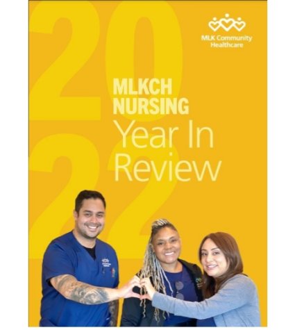 Photo of Nursing Report cover