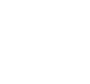 Equal Justice Initiative logo