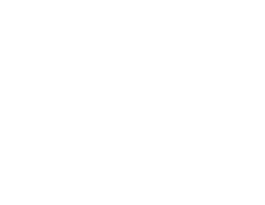 HTC Global Services